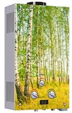 Gas Water Heater